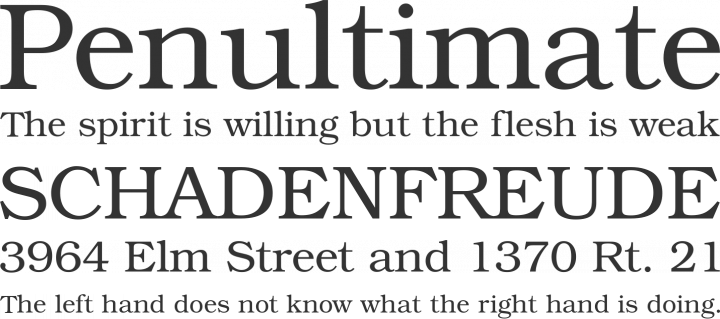 TeX Gyre Bonum Font Phrases