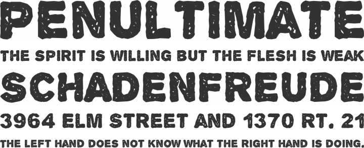 Alpha Echo Font Phrases