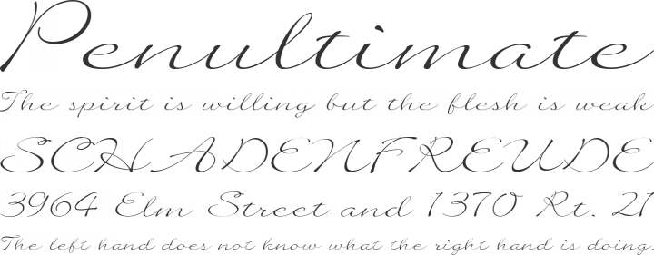 Quilline Script Thin Font Phrases