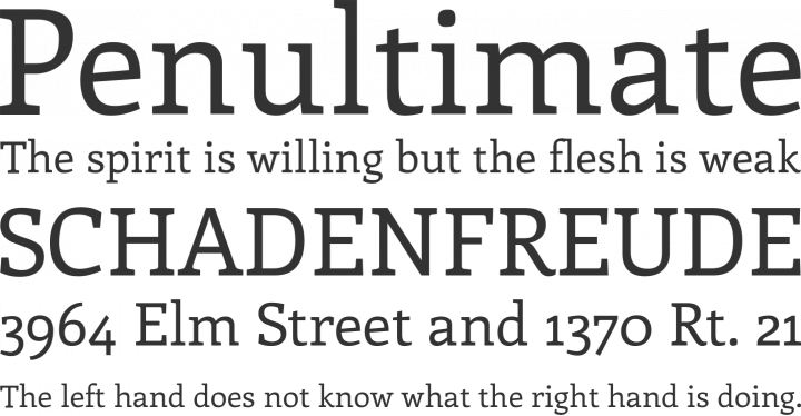 Enriqueta Font Phrases