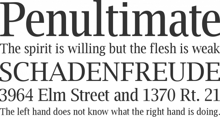 Luxi Serif Font Phrases