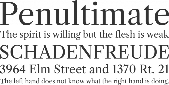 Libre Caslon Font Phrases