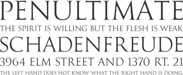 Goudy Trajan Regular Font Phrases