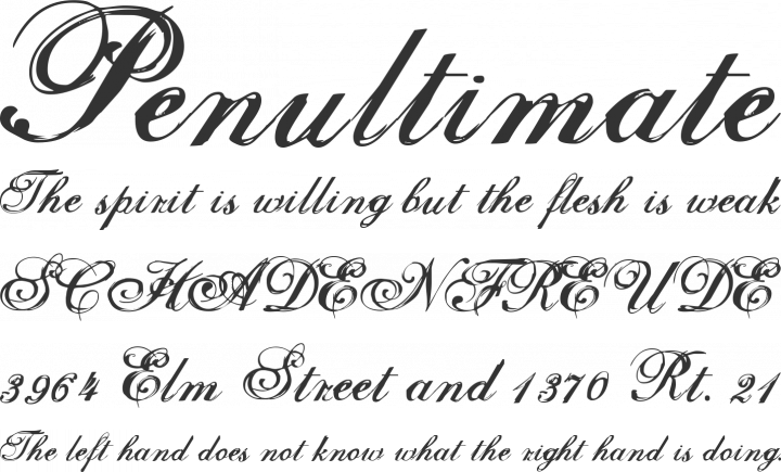 Selfish Font Phrases