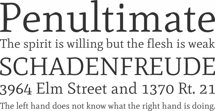 Mate Font Phrases