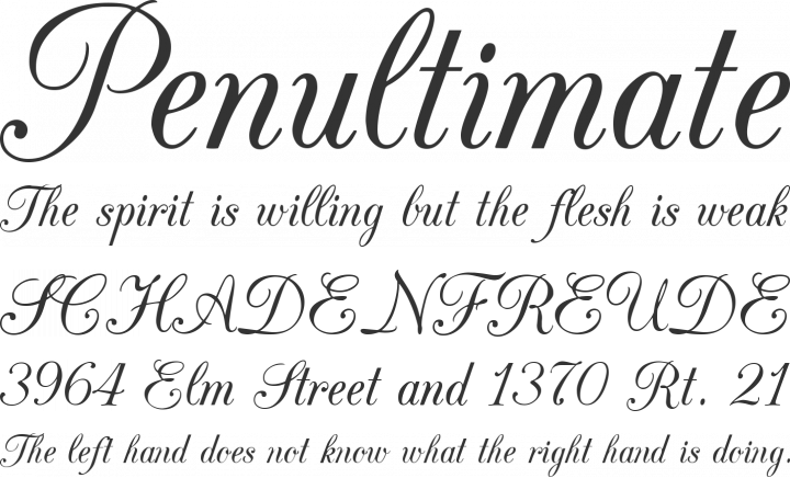 CAC Champagne Font Phrases