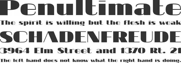 20db Font Phrases
