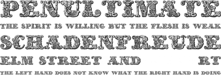 exotica Font Phrases
