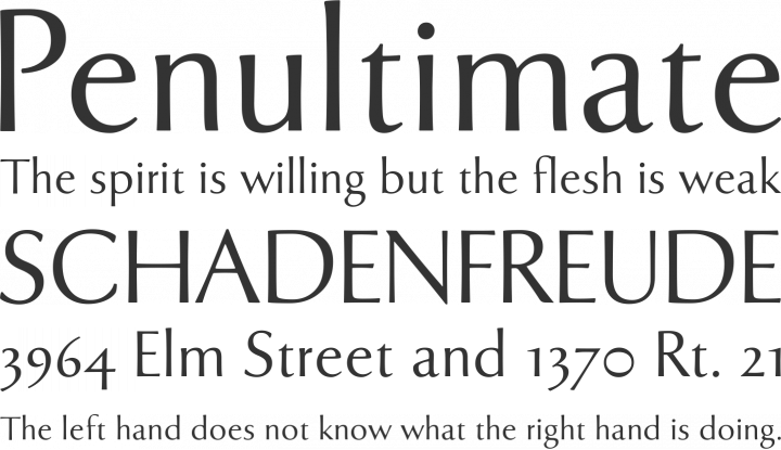 Tenderness Font Phrases