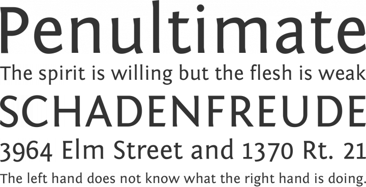Fontin Sans Font Phrases