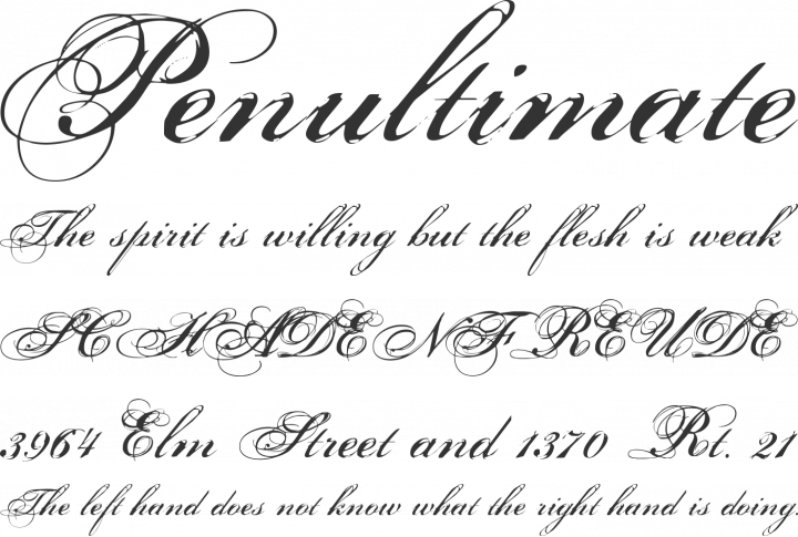 Porcelain Font Phrases