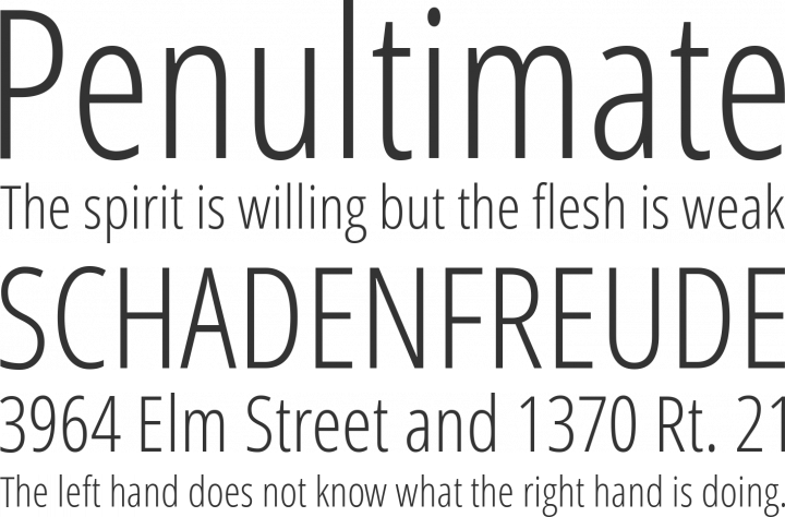 Din condensed bold font free