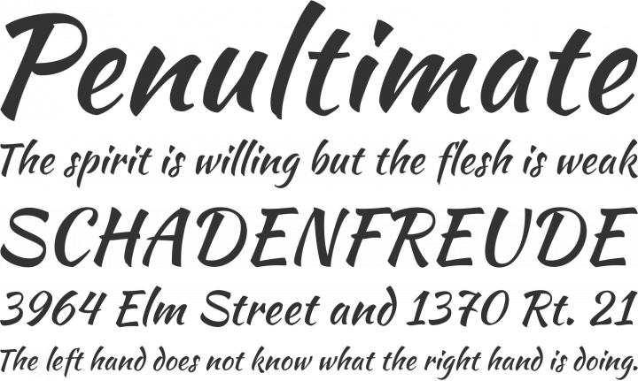 Kaushan Script Font Phrases