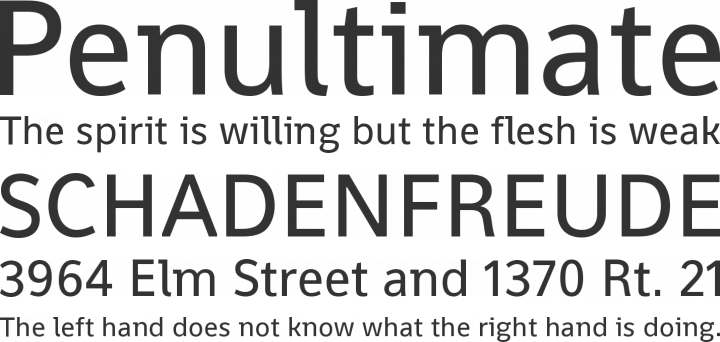Shanti Font Phrases
