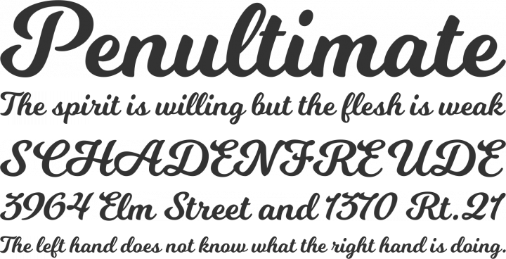 Milkshake Font Phrases