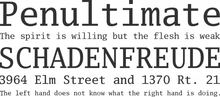 Luxi Mono Font Phrases