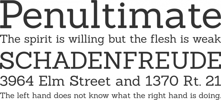 Sanchez Font Phrases