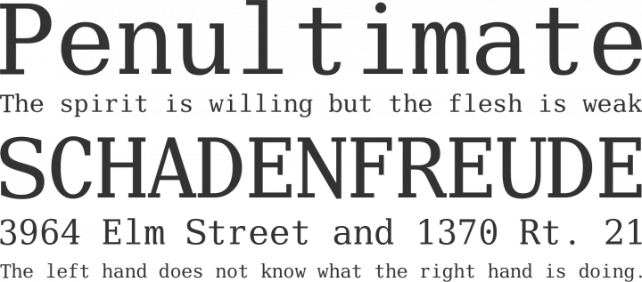 Verily Serif Mono Font Phrases