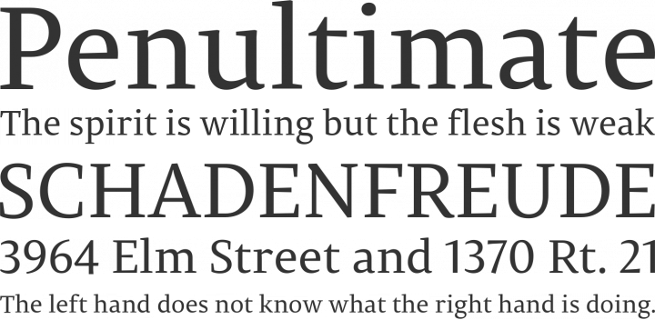 Permian Serif Font Phrases