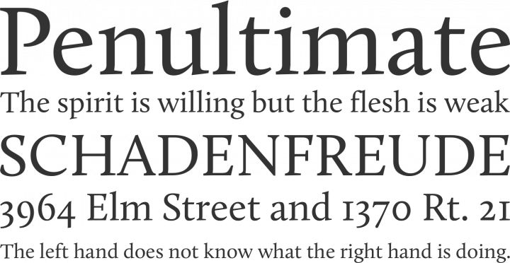 Calluna Font Phrases