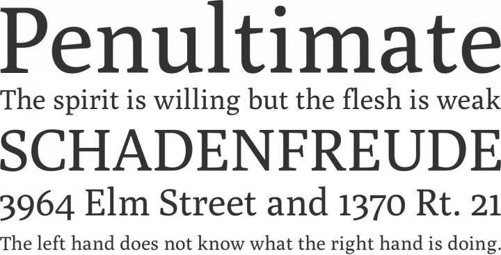 Poly Font Phrases