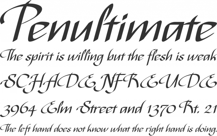 Bispo Font Phrases
