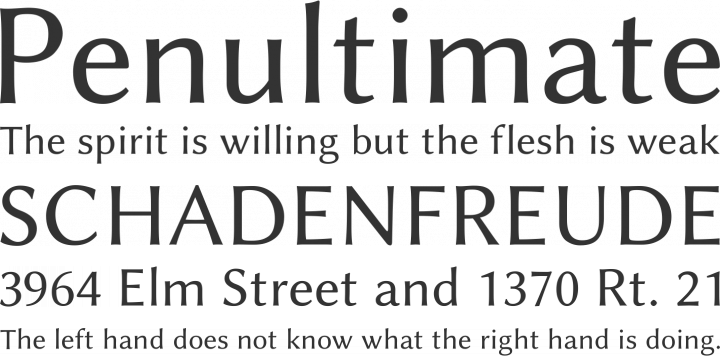 Linux Biolinum Font Phrases