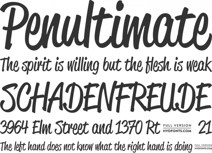 Free Squirrel Script Script Fonts