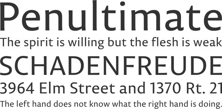 Permian Sans Font Phrases
