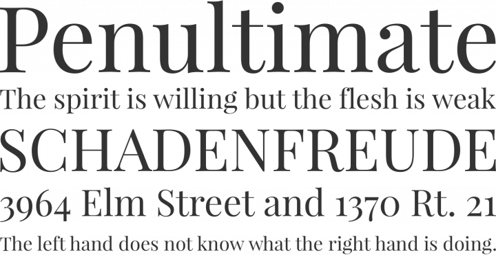 Playfair Display Font Phrases