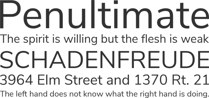 Nunito Sans Font Phrases