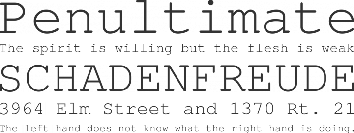TeX Gyre Cursor Font Phrases