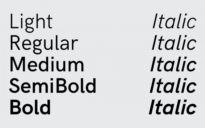 aktiv grotesk light download